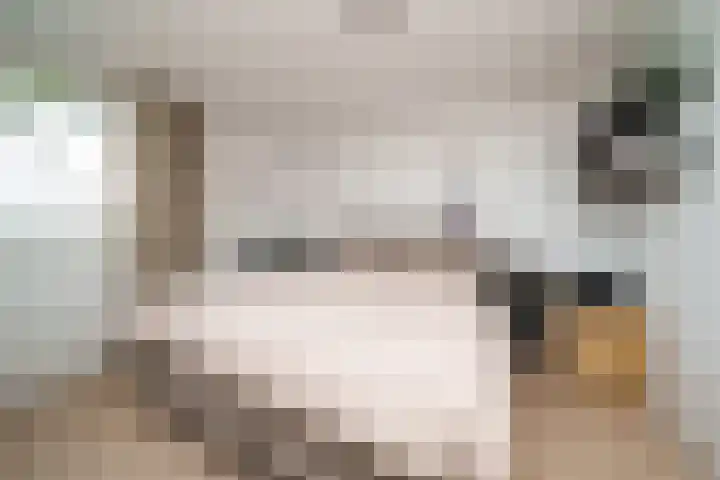 Wipmolen 18 Papendrecht thumbnail 14
