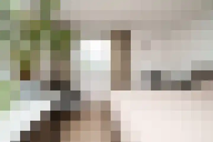 Wipmolen 18 Papendrecht thumbnail 15