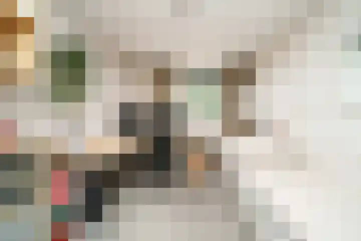 Wipmolen 18 Papendrecht thumbnail 16
