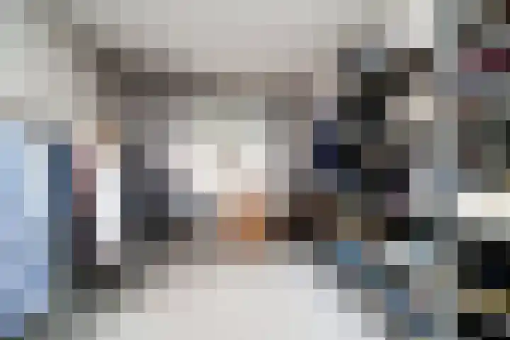 Wipmolen 18 Papendrecht thumbnail 17