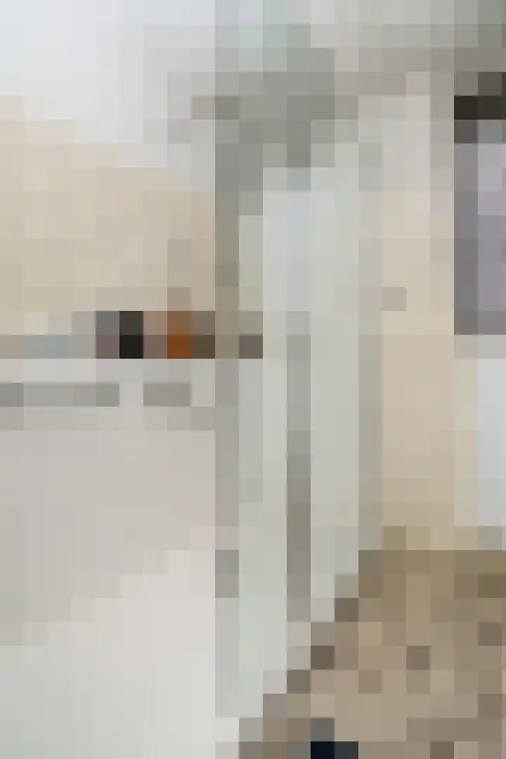 Wipmolen 18 Papendrecht thumbnail 21