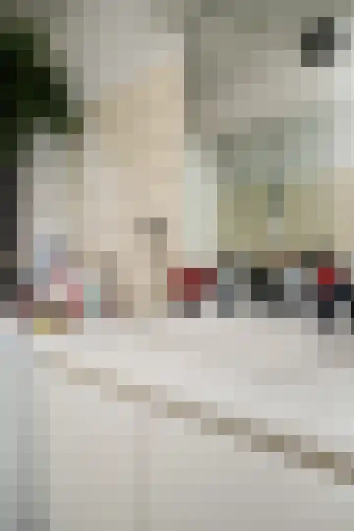 Wipmolen 18 Papendrecht thumbnail 22