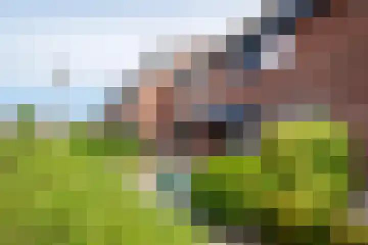 Wipmolen 18 Papendrecht thumbnail 23