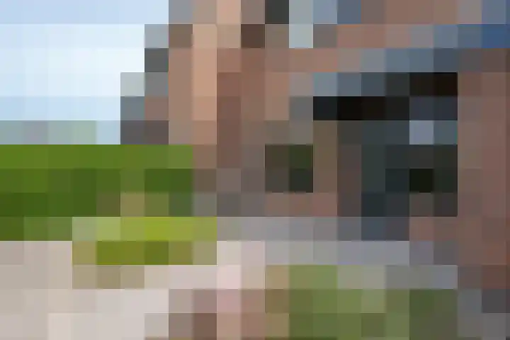 Wipmolen 18 Papendrecht thumbnail 24