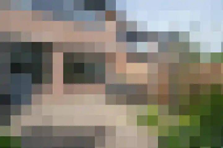 Wipmolen 18 Papendrecht thumbnail 25