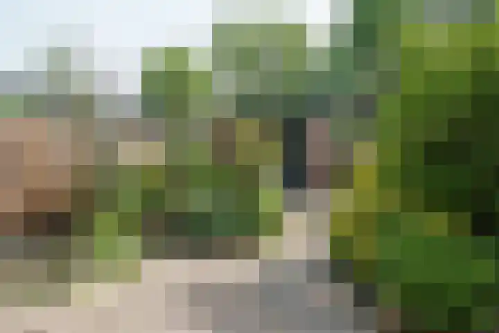 Wipmolen 18 Papendrecht thumbnail 28