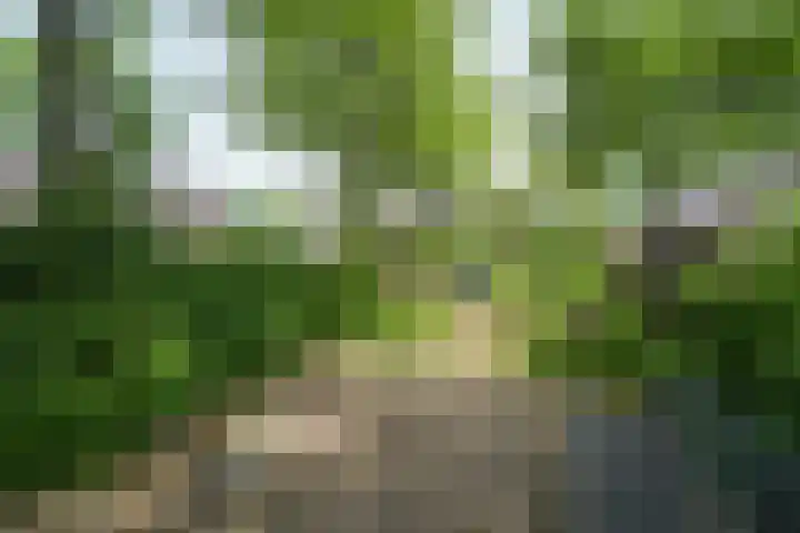 Wipmolen 18 Papendrecht thumbnail 30