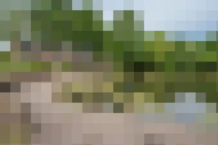 Wipmolen 18 Papendrecht thumbnail 31