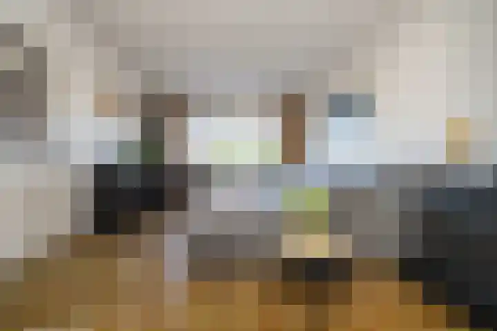 Wipmolen 18 Papendrecht thumbnail 6