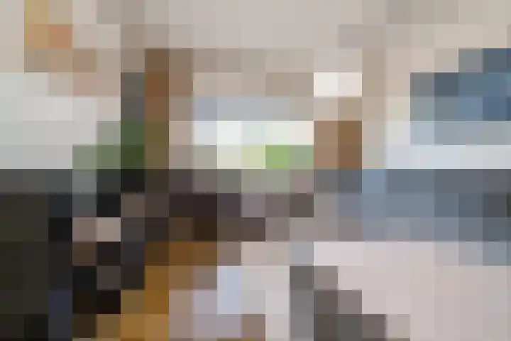 Wipmolen 18 Papendrecht thumbnail 7