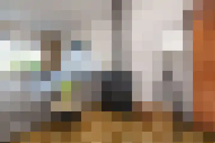 Wipmolen 18 Papendrecht thumbnail 8