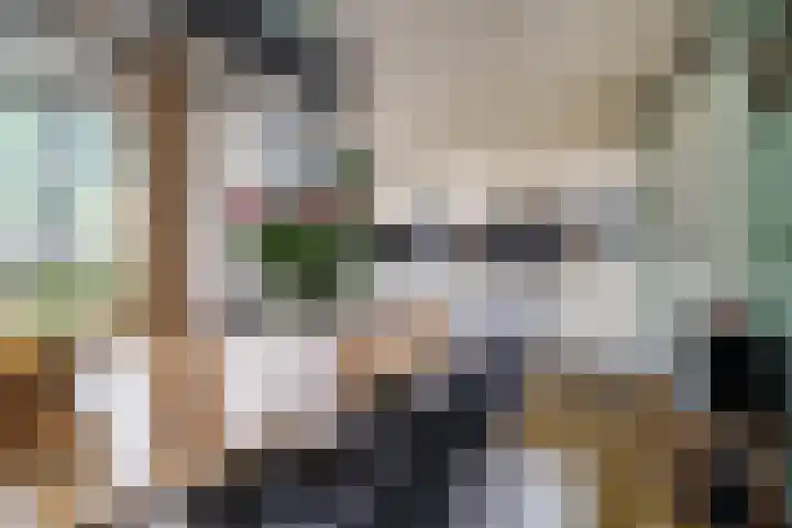 Wipmolen 18 Papendrecht thumbnail 9