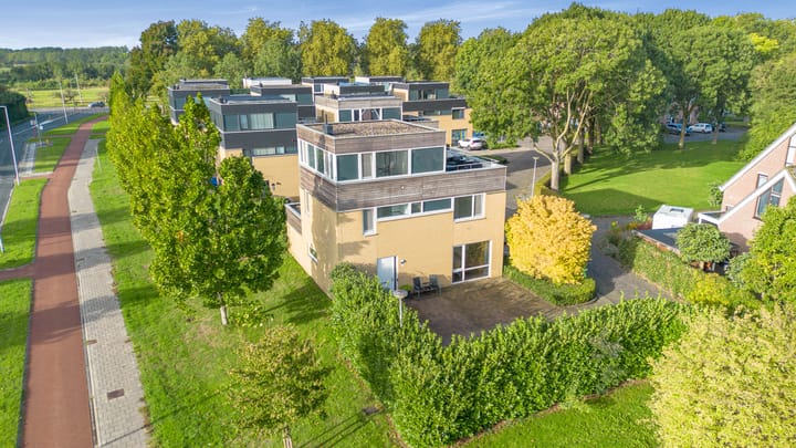 Wipmolen 2 en Vianen foto