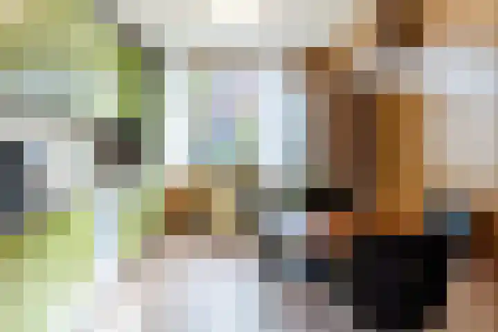 Wipmolen 2 Heerhugowaard thumbnail 10