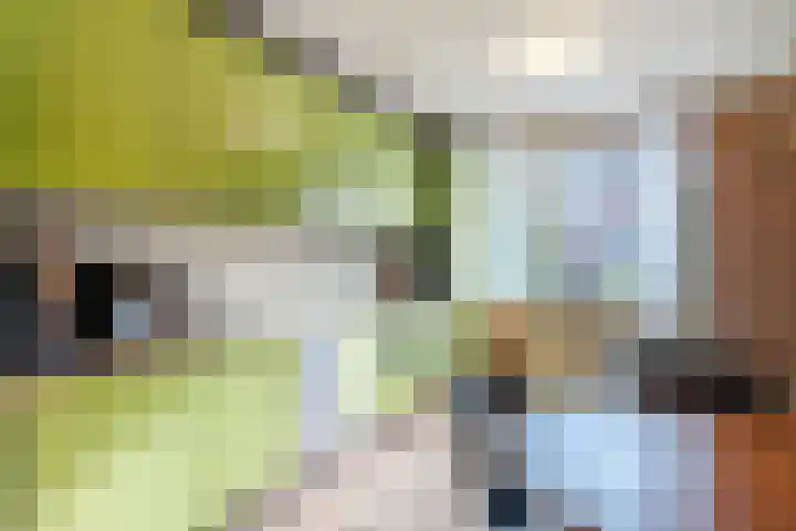 Wipmolen 2 Heerhugowaard thumbnail 11