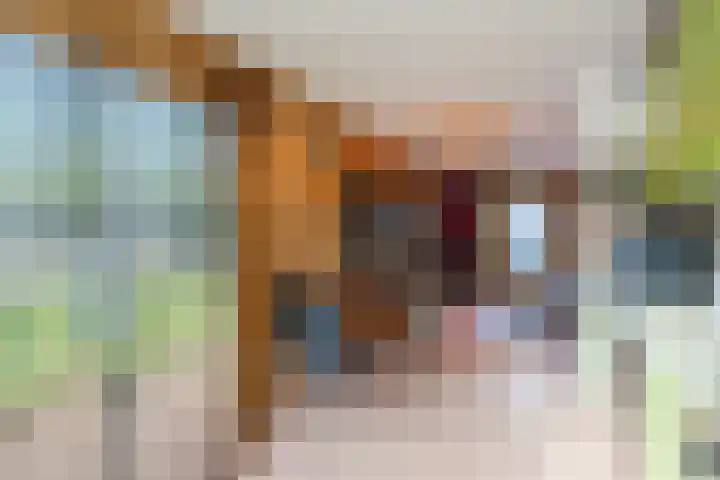 Wipmolen 2 Heerhugowaard thumbnail 12