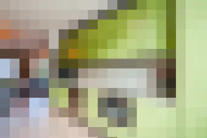 Wipmolen 2 Heerhugowaard thumbnail 13