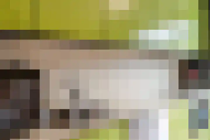 Wipmolen 2 Heerhugowaard thumbnail 14