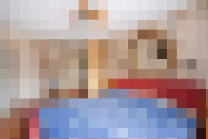 Wipmolen 2 Heerhugowaard thumbnail 16