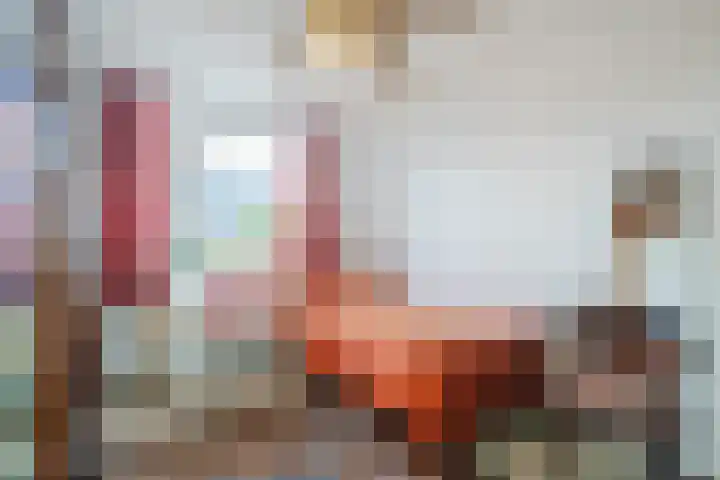 Wipmolen 2 Heerhugowaard thumbnail 17