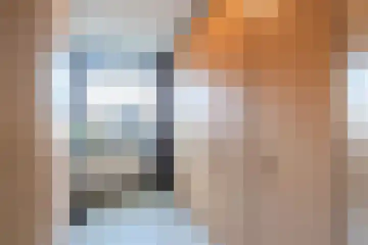 Wipmolen 2 Heerhugowaard thumbnail 19