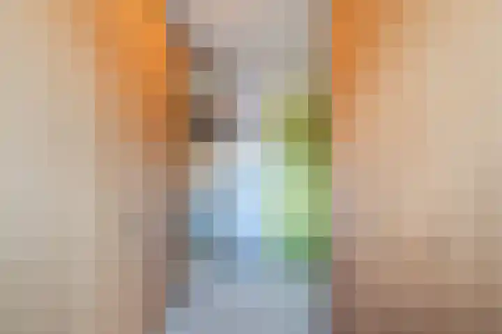 Wipmolen 2 Heerhugowaard thumbnail 20