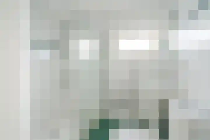 Wipmolen 2 Heerhugowaard thumbnail 21