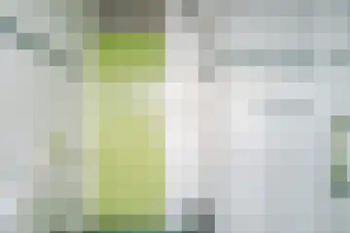 Wipmolen 2 Heerhugowaard thumbnail 22