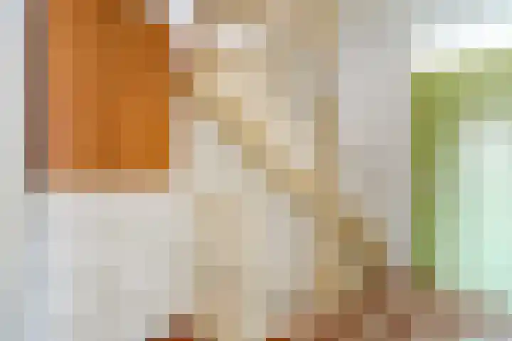 Wipmolen 2 Heerhugowaard thumbnail 24