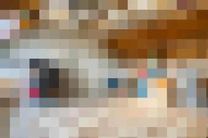 Wipmolen 2 Heerhugowaard thumbnail 25