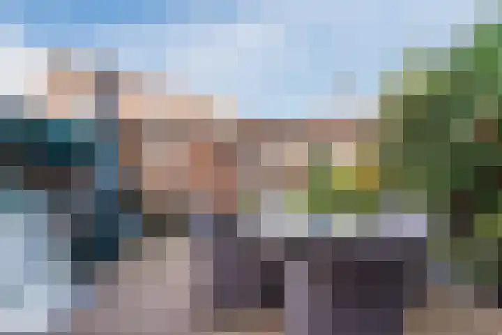 Wipmolen 2 Heerhugowaard thumbnail 29