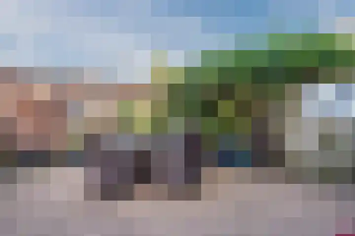 Wipmolen 2 Heerhugowaard thumbnail 30
