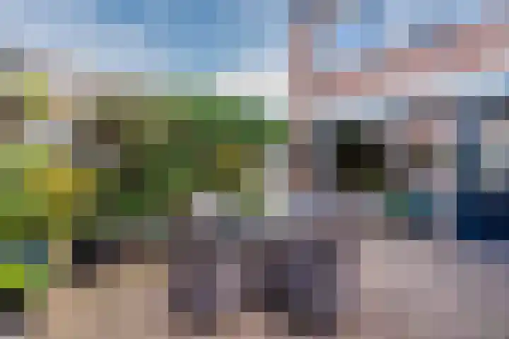 Wipmolen 2 Heerhugowaard thumbnail 31