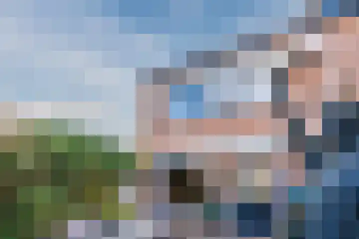 Wipmolen 2 Heerhugowaard thumbnail 33