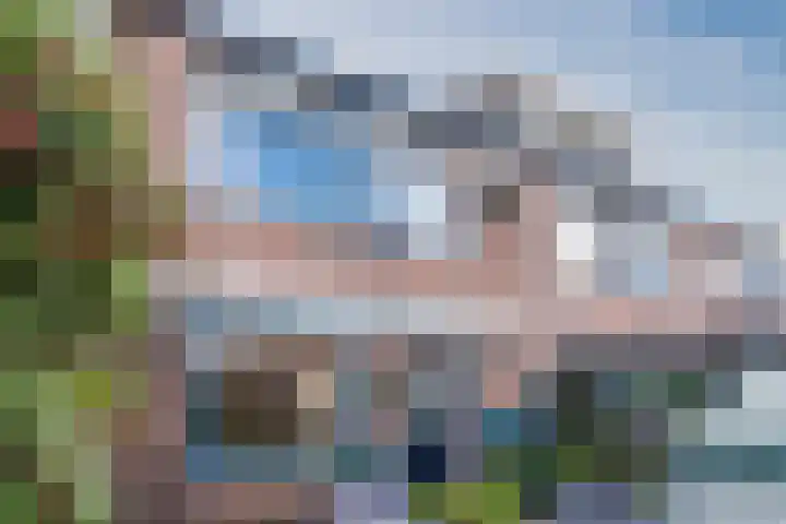 Wipmolen 2 Heerhugowaard thumbnail 34