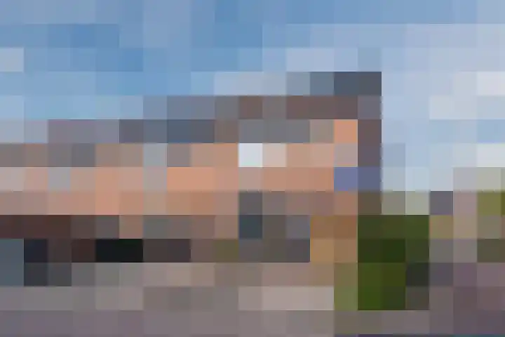 Wipmolen 2 Heerhugowaard thumbnail 36