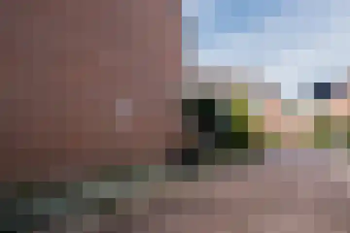 Wipmolen 2 Heerhugowaard thumbnail 37