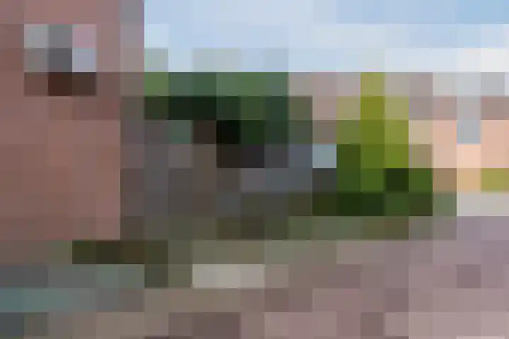 Wipmolen 2 Heerhugowaard thumbnail 38