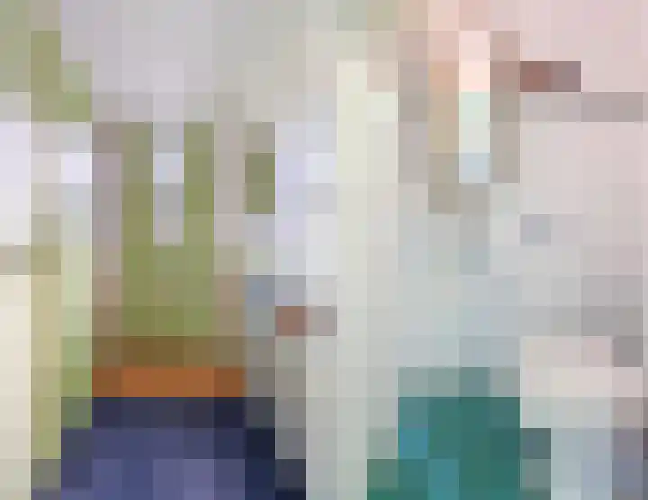 Wipmolen 2 Heerhugowaard thumbnail 4