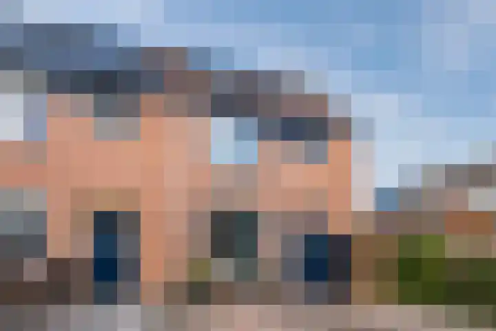 Wipmolen 2 Heerhugowaard thumbnail 42
