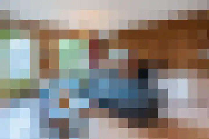 Wipmolen 2 Heerhugowaard thumbnail 5