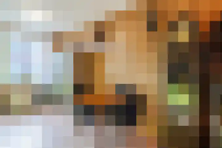 Wipmolen 2 Heerhugowaard thumbnail 9