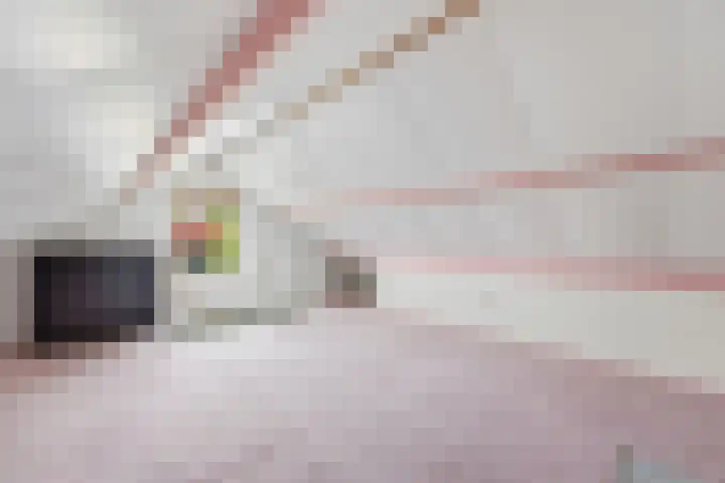 Wipmolen 2 Nieuw-Lekkerland thumbnail 25