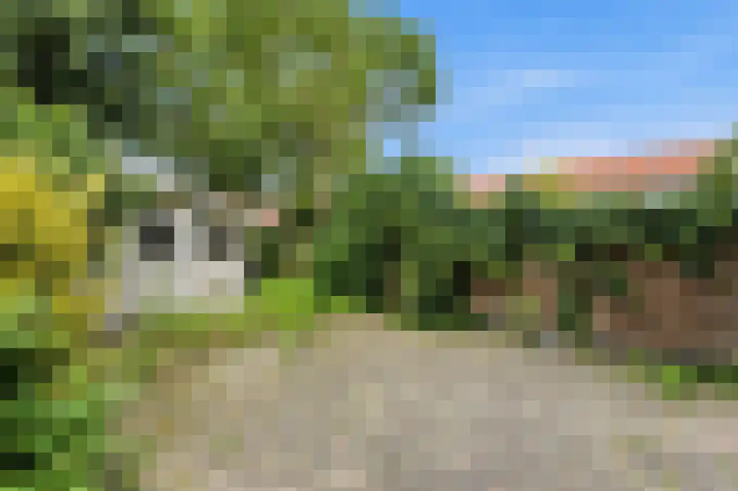 Wipmolen 2 Nieuw-Lekkerland thumbnail 32