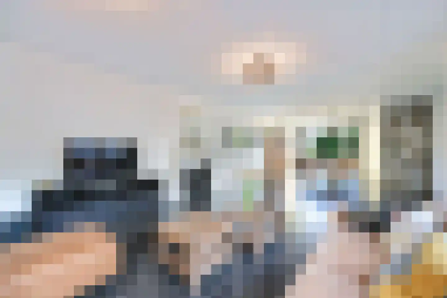 Wipmolen 2 Vianen thumbnail 12