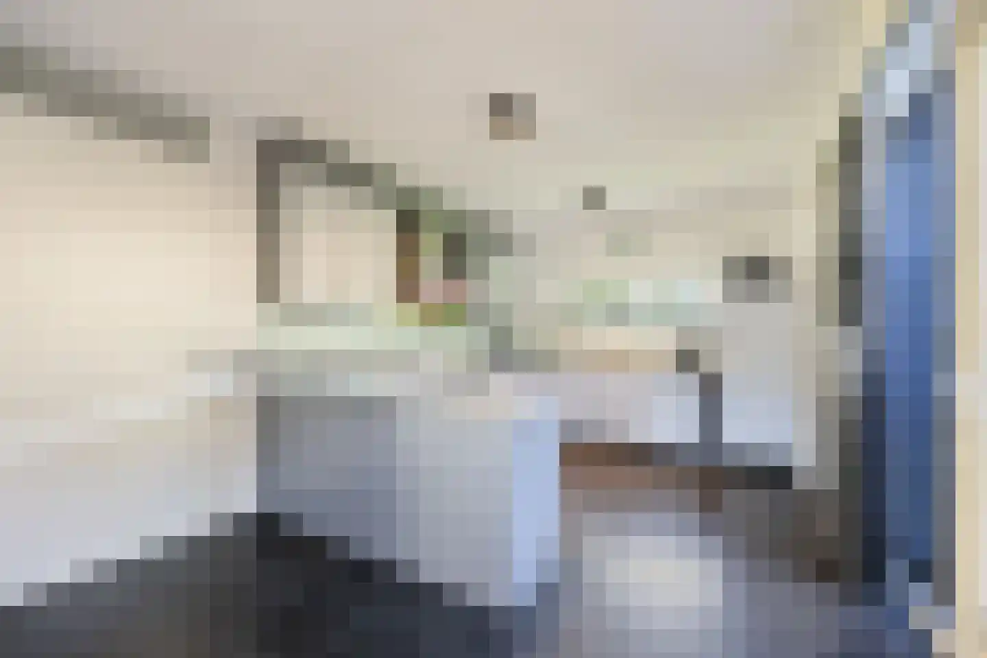 Wipmolen 2 Vianen thumbnail 13