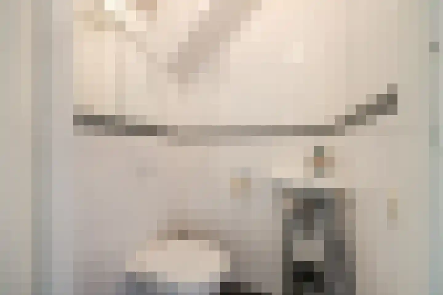 Wipmolen 2 Vianen thumbnail 20
