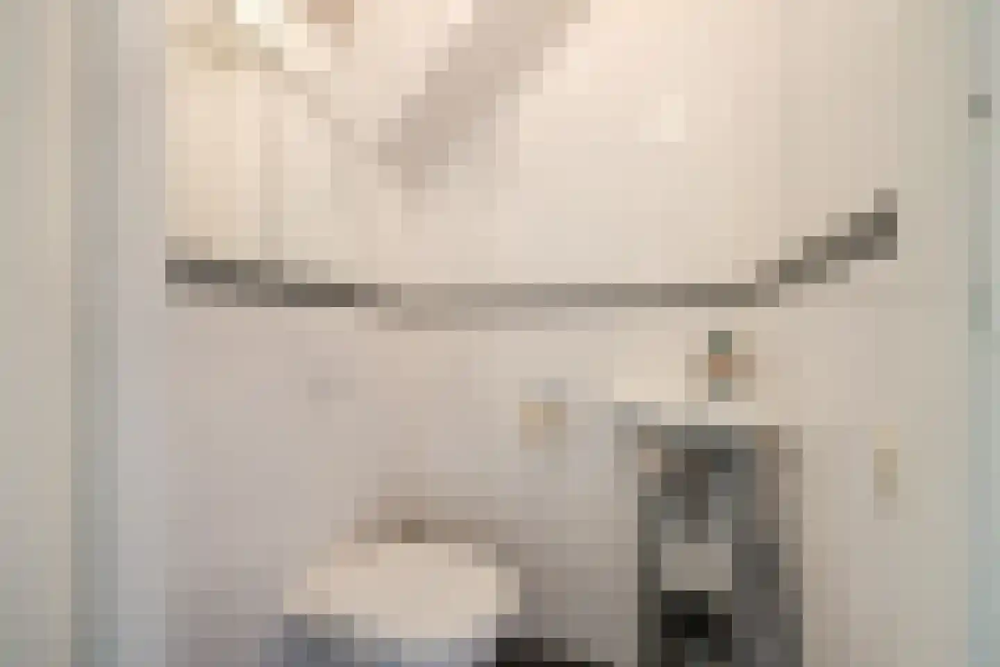 Wipmolen 2 Vianen thumbnail 20