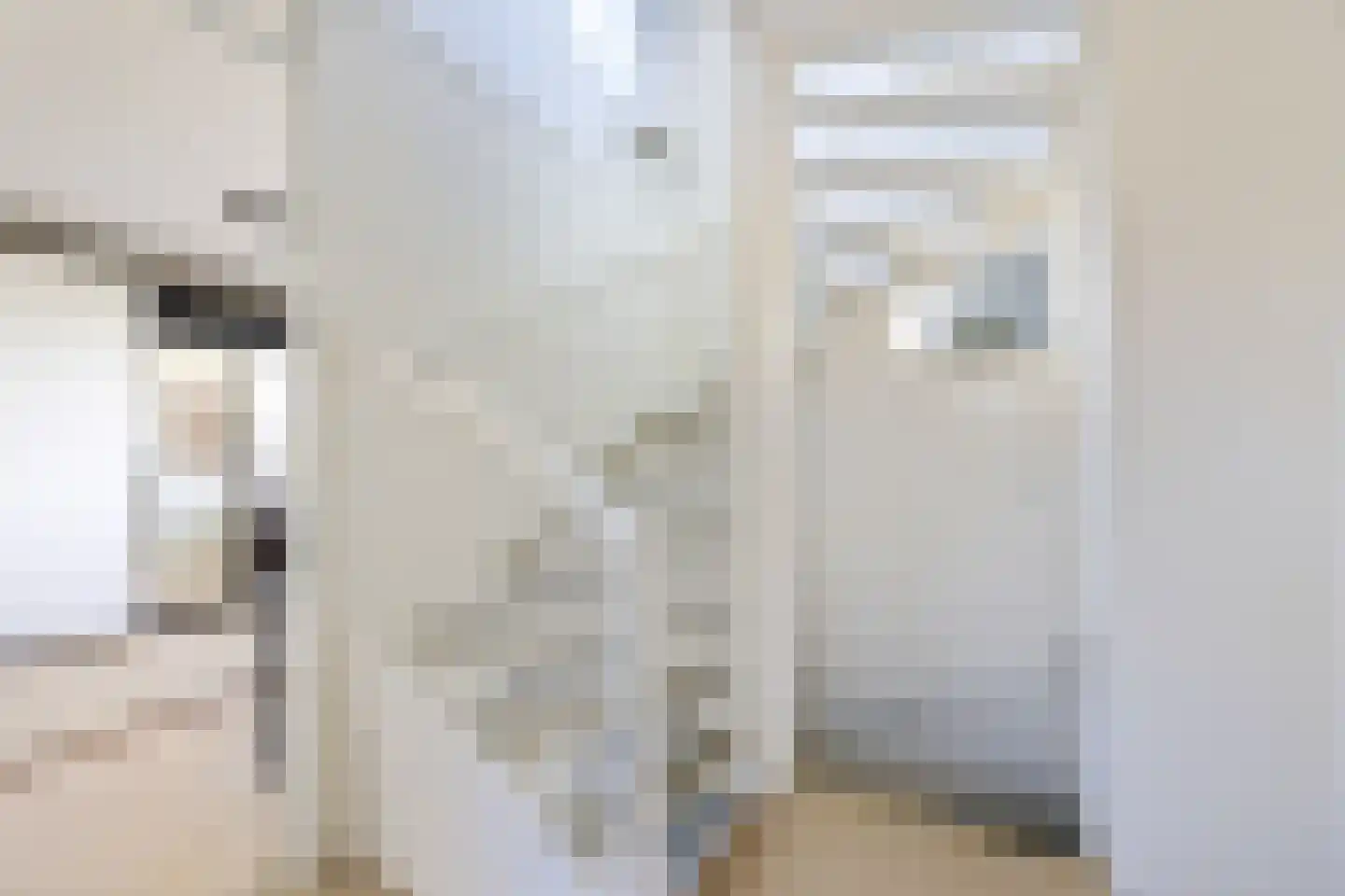 Wipmolen 2 Vianen thumbnail 21