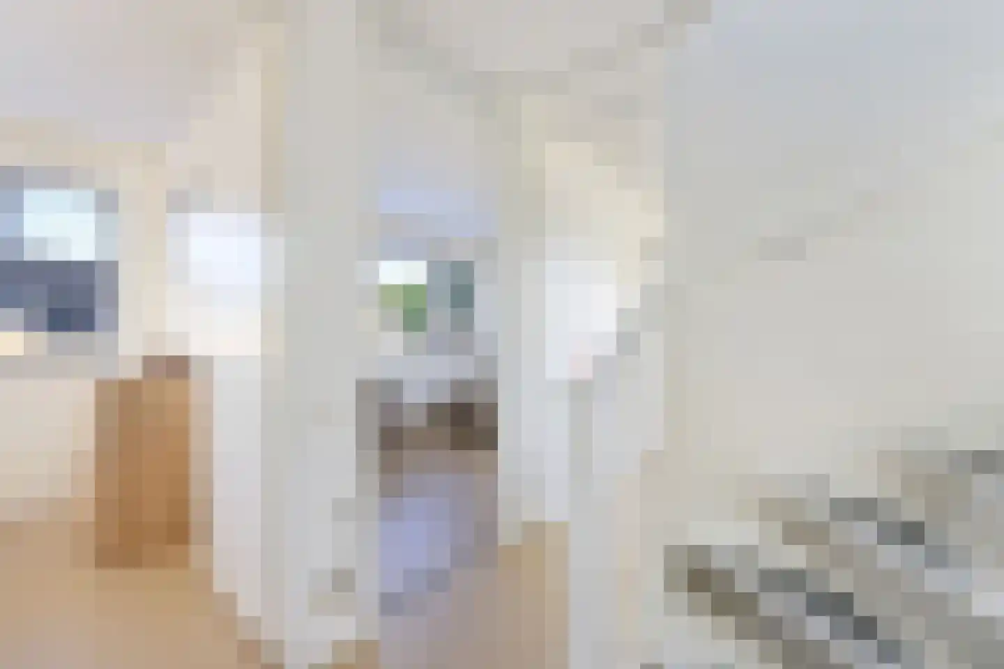 Wipmolen 2 Vianen thumbnail 22